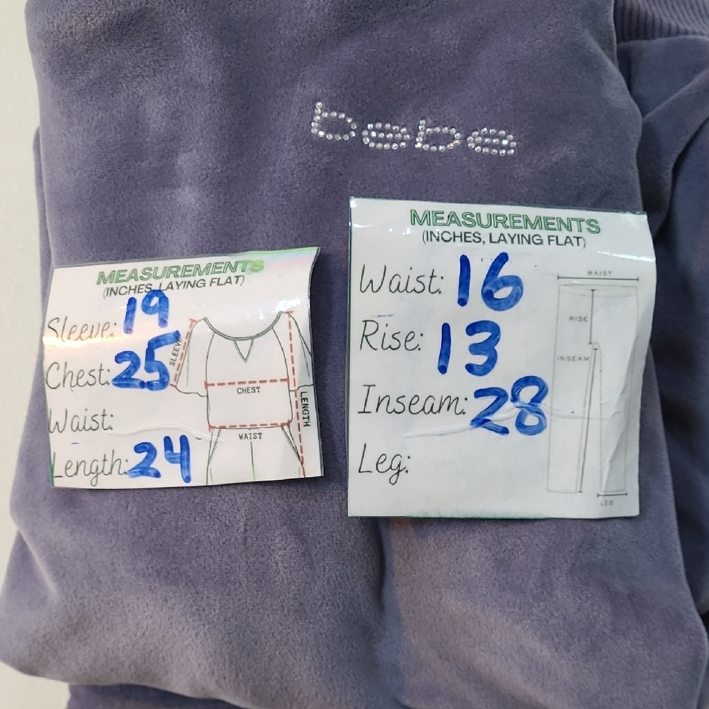 Bebe Sport Lavender Gray Velour Hoodie and Joggers Set Large - Picture 16 of 16